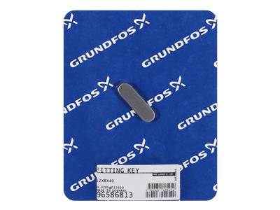 Grundfos PASSFEDER 12X8X40 Composant 96586813