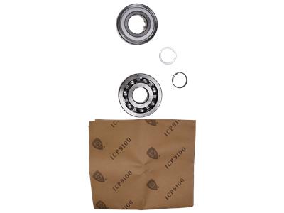 Grundfos Bausatz, Lager Bausatz 96827578