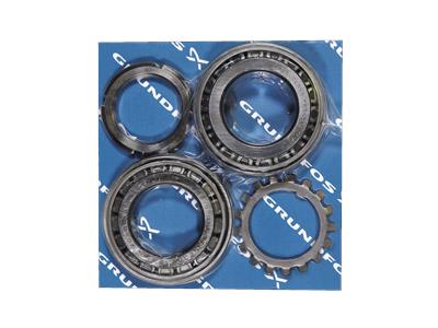 Grundfos Bausatz, Lager PG250 Bausatz 95065475