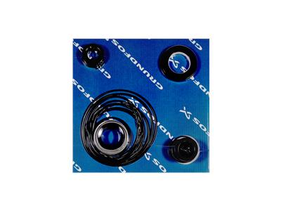 Grundfos Satz, Dichtung GAM Bausatz 95065484