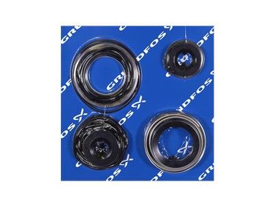 Grundfos Satz, Dichtung GAM Bausatz 95065472