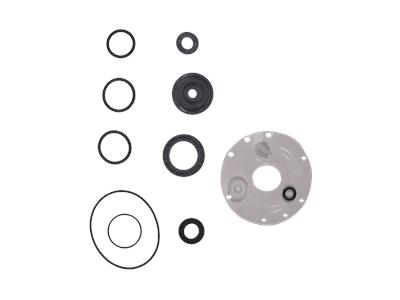 Grundfos Bausatz, Wartung Cl2/545/FKM/PTFE/<4kg/h/ser Bausatz 96729324