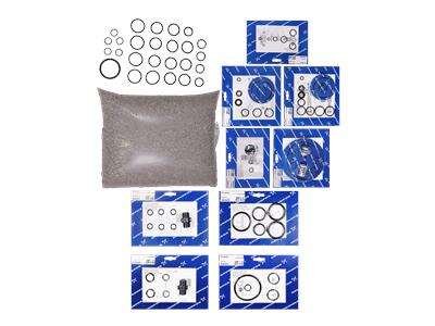 Grundfos Bausatz, Wartung ClO2/166/2500g/h/FKM/DN8 Bausatz 96688798