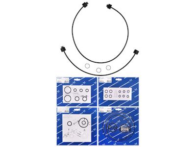 Grundfos kit, entretien Cl2/141/FKM/1-10kg/h kit 96688759