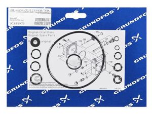Grundfos kit, entretien Cl2/113/FKM/TFM/<4kg/h kit 91835973