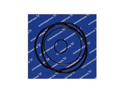 Grundfos Bausatz, O-Ring Bausatz 96121673