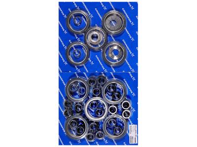 Grundfos Bausatz, Reparatur SP46/N,NS,R Bausatz 96440254