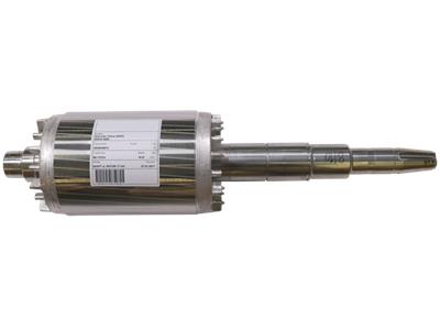 Grundfos BAUSATZ, WELLE MIT ROTOR 95113734 Bausatz 96841572