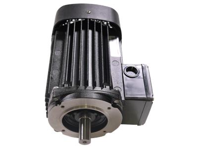 Grundfos MG080B 220-240D/380-415Y 50HZ Component 85903505