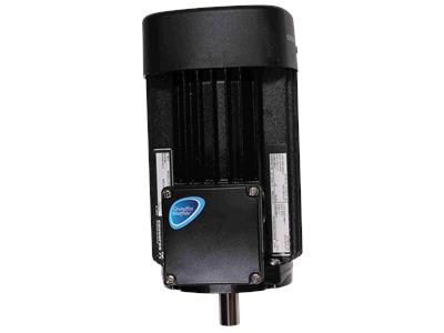 Grundfos MG080C 380-415D 50HZ Composant 85904003