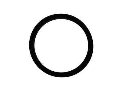 Grundfos Ring NDE-Ende Ersatzteil 96474952