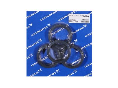 Grundfos DICHTUNGSRING 10X135111 Bausatz 96537825