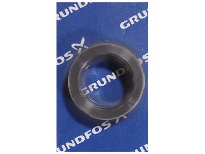 Grundfos ABSTANDHALTER /ERSATZTEIL D54/D38X15,5 1.4462 Bausatz 96938601