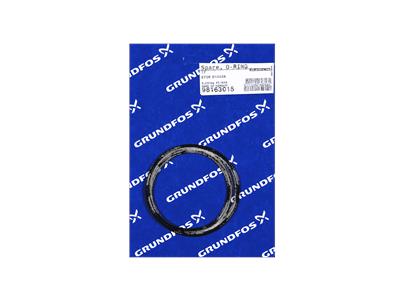 Grundfos Ersatz, O-RING EPDM D154X4 Bauteil 98163015