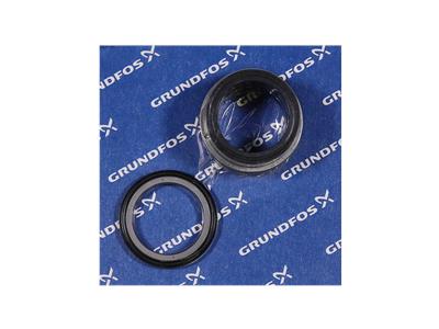 Grundfos Ersatz, Wellendichtring BQQE D48 Bauteil 98434909
